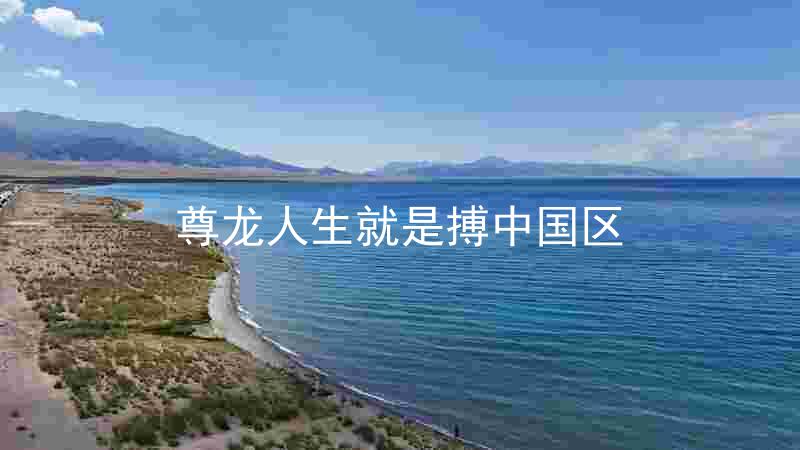 尊龙人生就是搏中国区