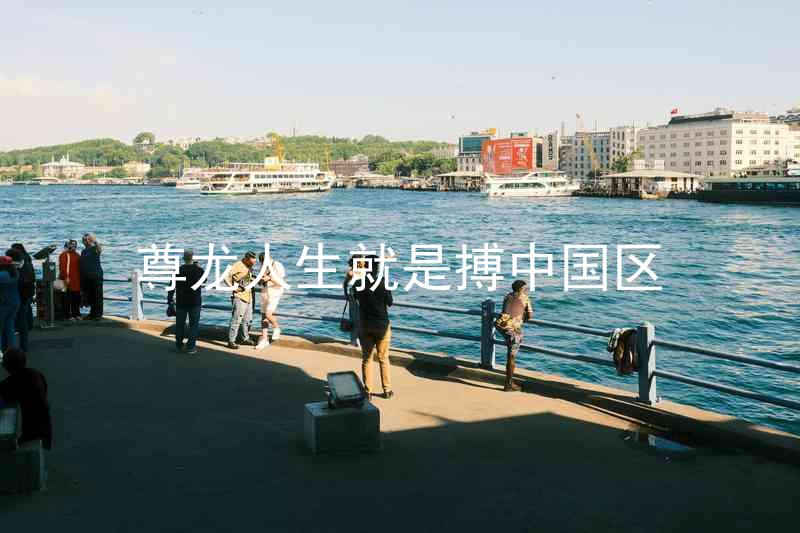 尊龙人生就是搏中国区
