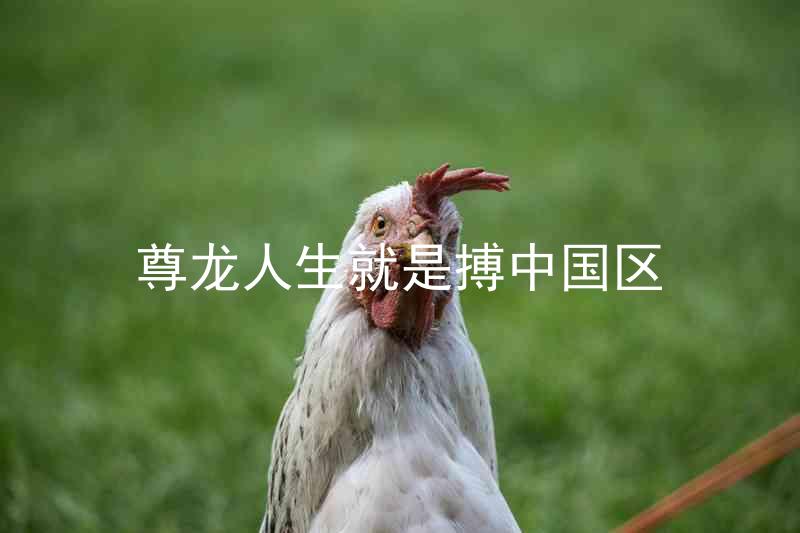 尊龙人生就是搏中国区